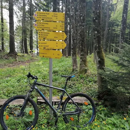 Hoamatleuchten *