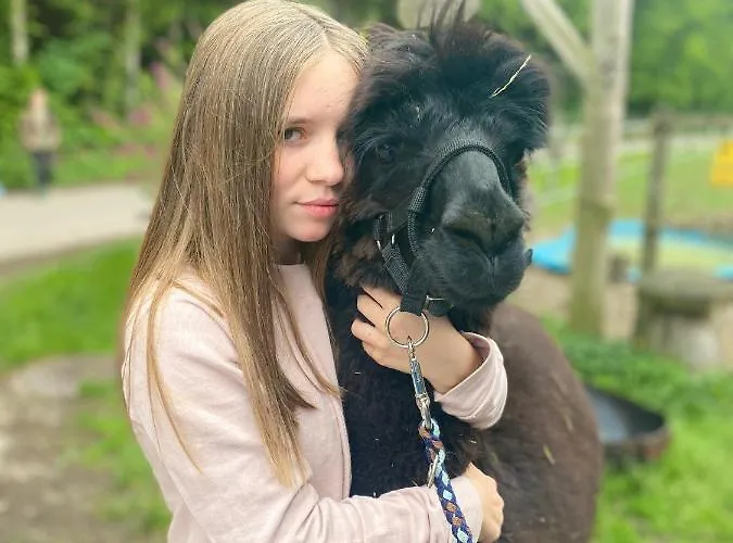 Hoamatleuchten Pettenbach