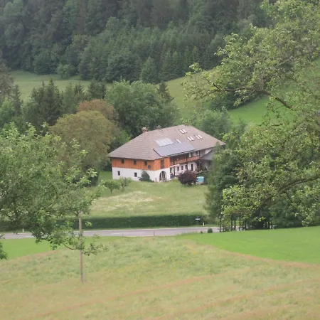 Hoamatleuchten Апартаменты Pettenbach